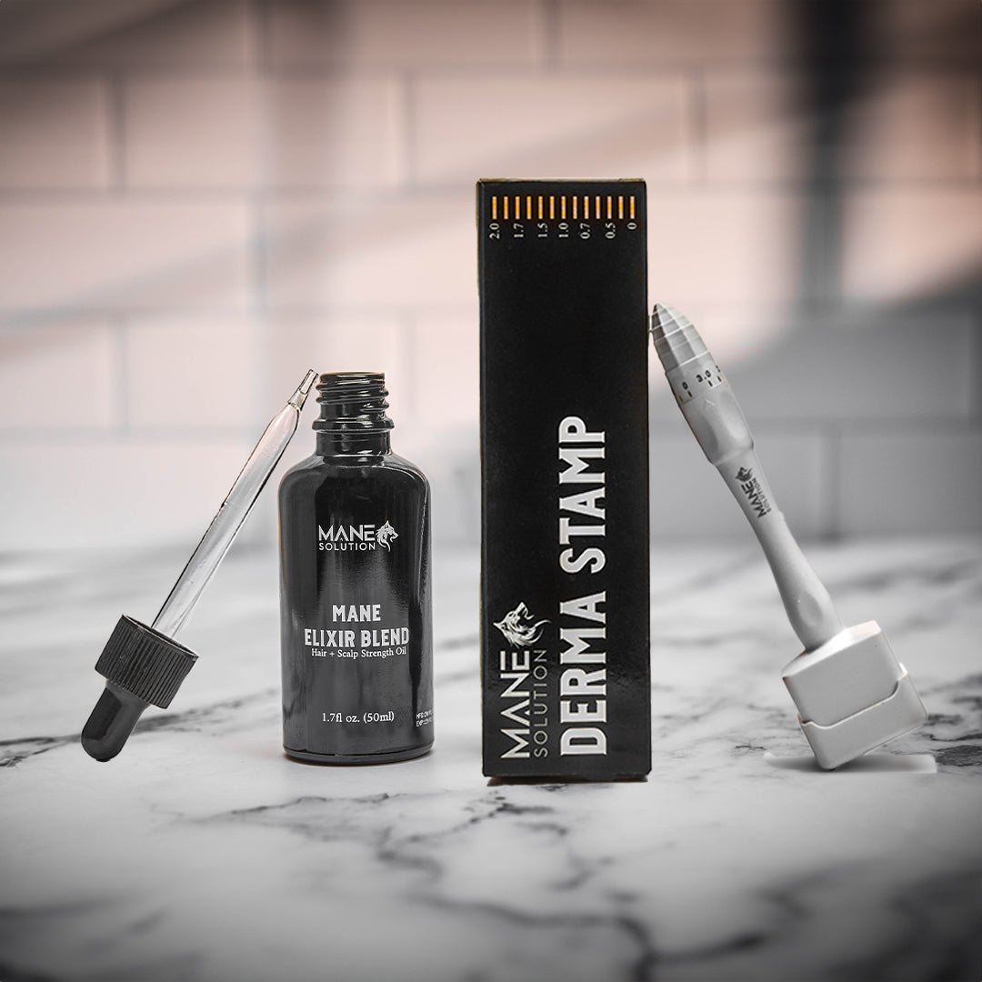 Stamp & Blend Bundle